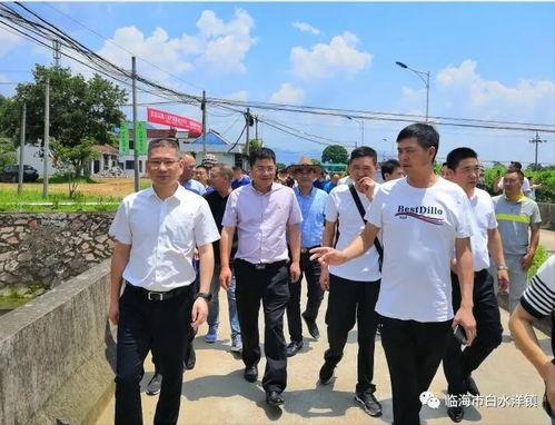 乐清市虹桥镇新闻爆料,详情即将揭晓  第2张