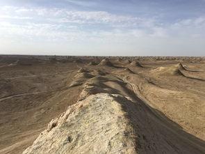 瓜洲免费吃瓜在哪里,寻味夏日甜蜜时光  第2张