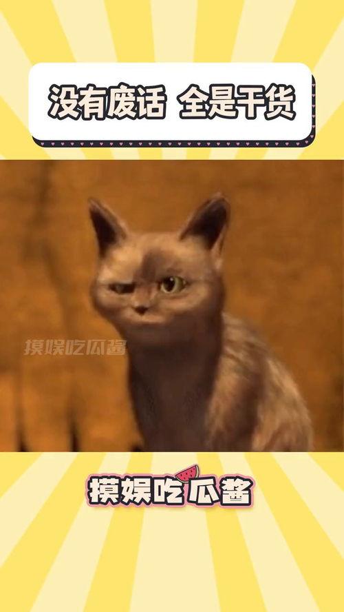 色猫吃瓜网站免费推荐,色猫吃瓜网站免费推荐，带你畅游娱乐新天地  第1张